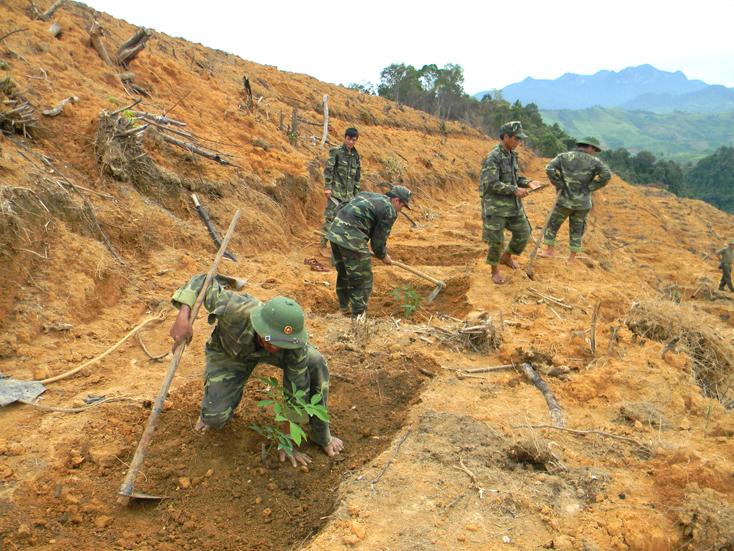 Đất CAN được coi là loại đất có tính pháp lý cao nhất